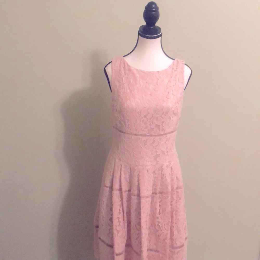 Eliza J Size 6 Lace Dress, Light Pink, Fitand Flare, Below The Knee